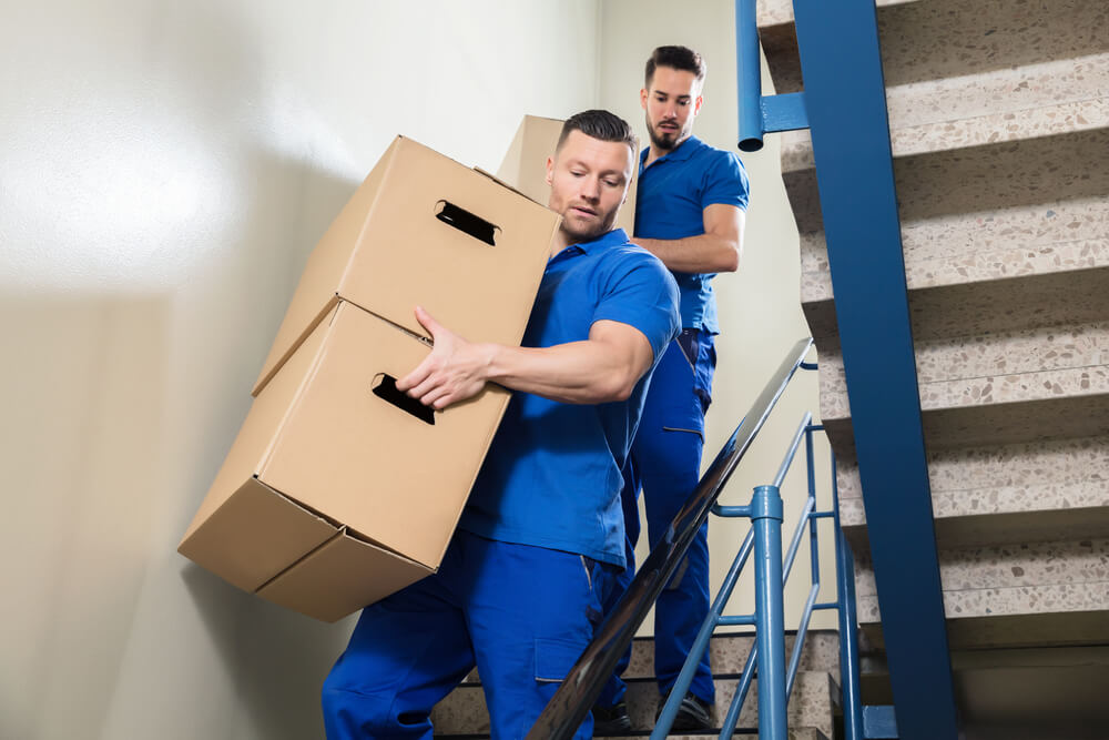 Home and Office Relocation